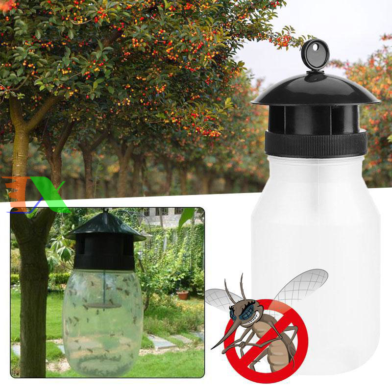 Treo bẫy bắt Ruồi vàng